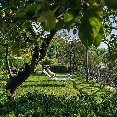 Villa Prota Vico Equense Ngoại thất bức ảnh